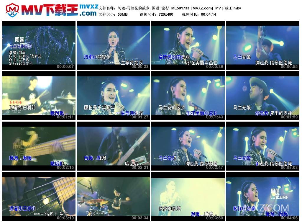 阿莲-马兰花的故乡_国语_流行_ME501733